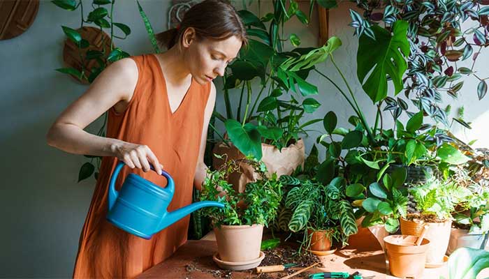 Girl watering many plants in her home